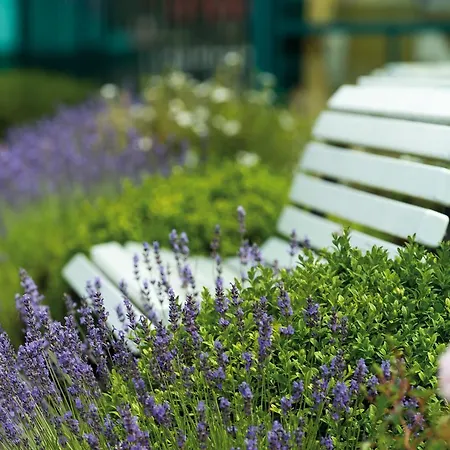 A-rosa Ostseehotel 4* Ostseebad Kühlungsborn