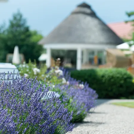 A-rosa Ostseehotel فندق