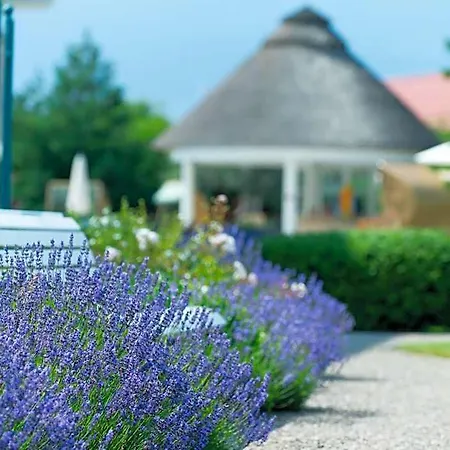 Travel Charme Ostseehotel Hotel Ostseebad Kühlungsborn