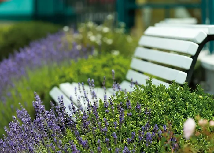 Travel Charme Ostseehotel 4* Ostseebad Kühlungsborn