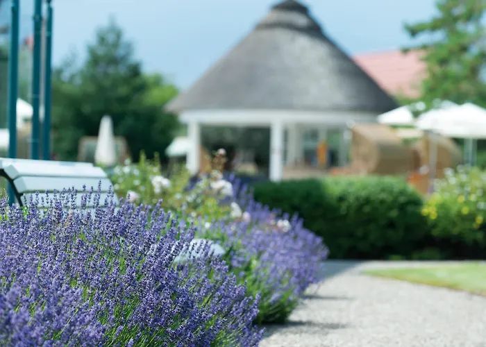 Travel Charme Ostseehotel Hotel